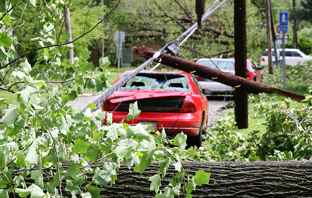 Car and Downed Power Line